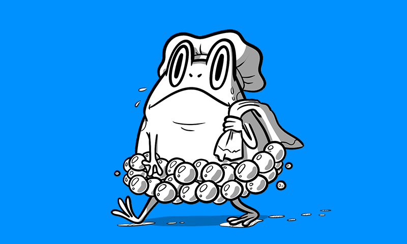 Soggy Froggy